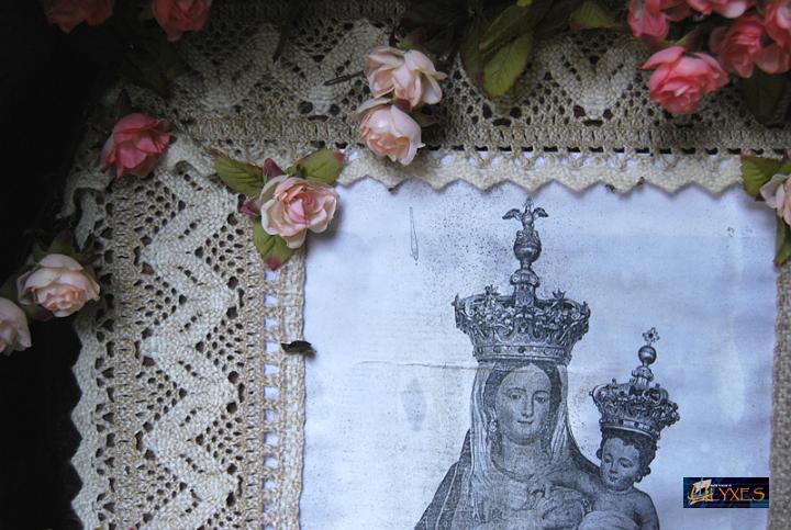 rose e merletto.JPG